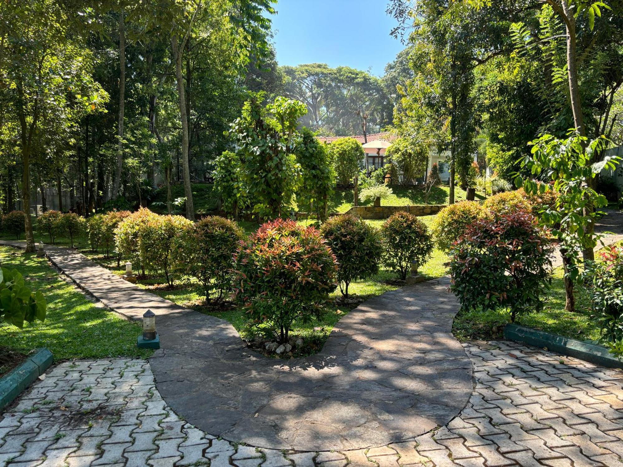 Serenity Villa Digana Kandy Extérieur photo